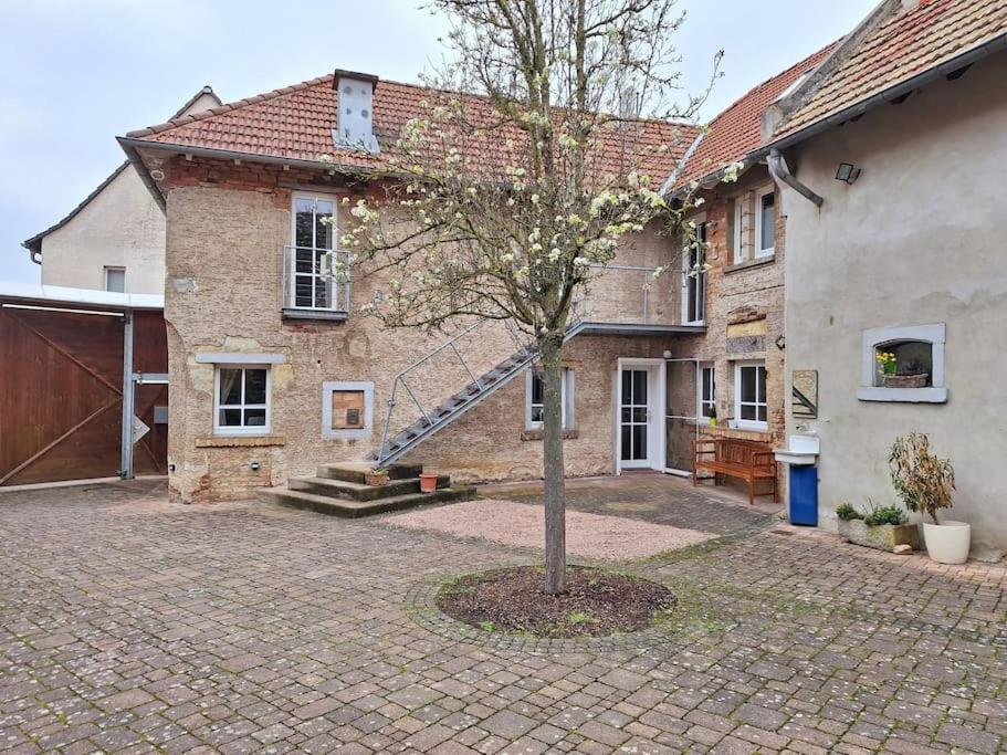 Ferienwohnung Tante Trude Bad Kreuznach Ngoại thất bức ảnh